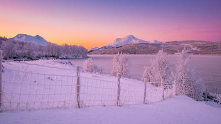 Purple winter landscape wallpaper