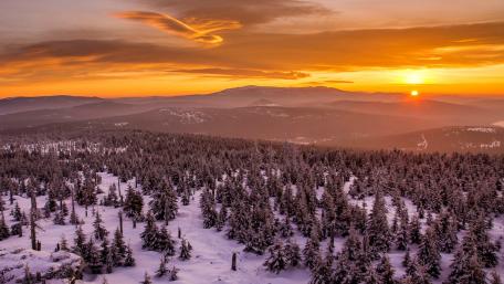 Golden Winter Sunset Over Snowy Mountains and Pine Forests wallpaper