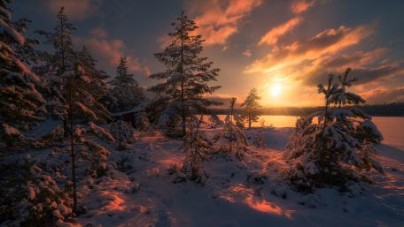 Winter Sunrise Over Snowy Landscape wallpaper