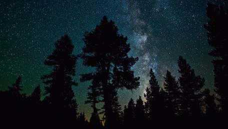 Milky way above the forest wallpaper