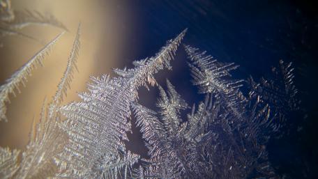Frosty Elegance in Macro Form wallpaper