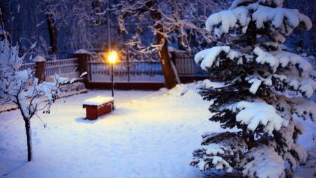 Winter Wonderland in Snowy Serenity wallpaper
