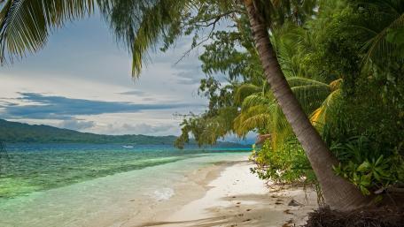 Tropical beach wallpaper