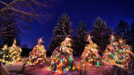 Christmas lights under the snow wallpaper