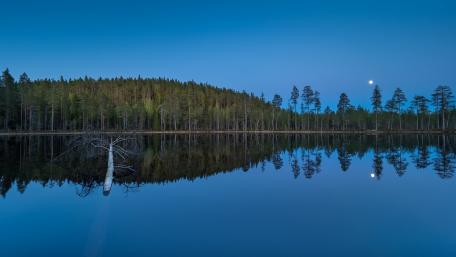 Perfect reflection wallpaper
