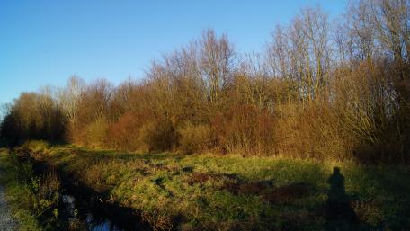 Serene Evening by the Waterway wallpaper
