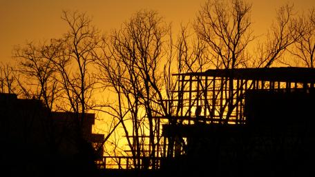 Silhouetted Trees Against a Vibrant Sunset wallpaper