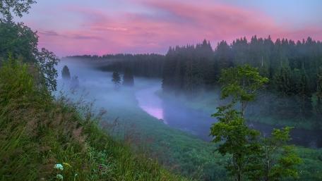 Serene Dawn in Misty Wilderness wallpaper