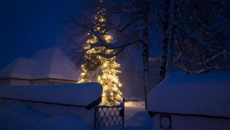 Magical Snowy Christmas Night Light Display wallpaper