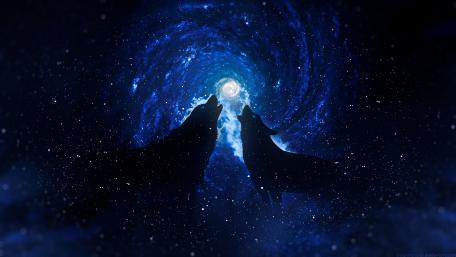 Midnight wolf howling wallpaper