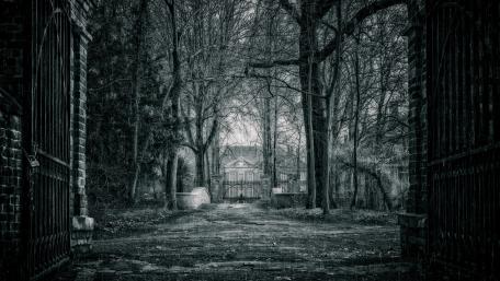 Gate of a mysterious castle wallpaper