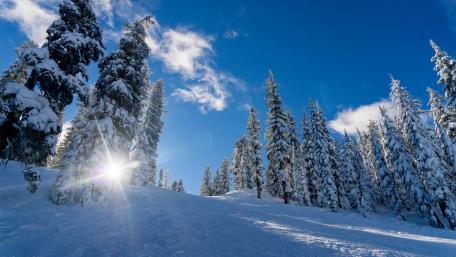 Morning sun rays wallpaper