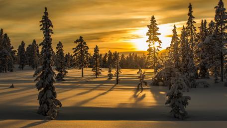 Winter sunset wallpaper