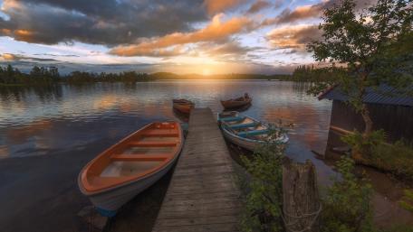 Morning Harmony at the Lakeside wallpaper