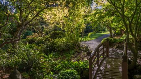 East Sooke Park (Canada) wallpaper