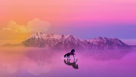 Horse walks on water wallpaper