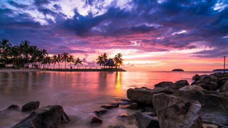 Tropical sunset wallpaper