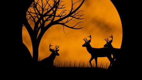 Deers at moonrise wallpaper
