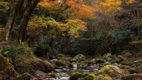 Hananuki Valley (Japan) wallpaper