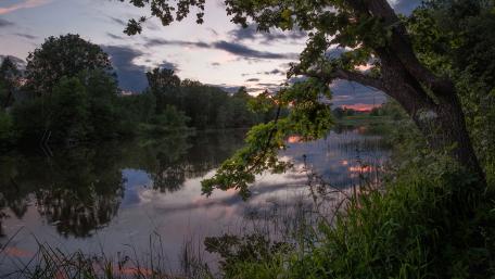 Serene Morning Reflections on a Tranquil Lake wallpaper