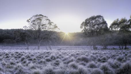 Barrington Tops National Park winter sunrise wallpaper