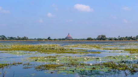 View from "Basawakkulama" tank wallpaper