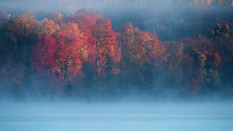 Hazy autumn landscape wallpaper