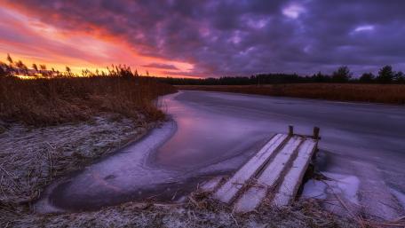 Frozen wetland wallpaper