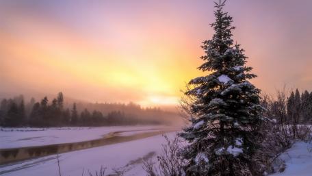 Serene Winter Landscape with Orange Sky wallpaper