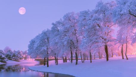 Snowy landscape under the full moon wallpaper