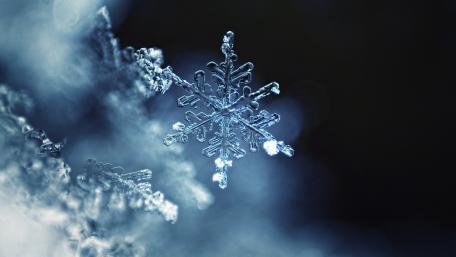 Snowflake wallpaper