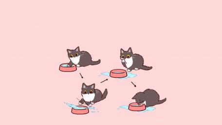 Funny cats wallpaper
