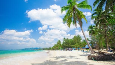 Tropical Summer Paradise wallpaper