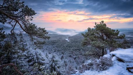 Winter Sunrise Over Snow-Covered Wilderness wallpaper