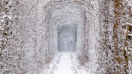 Tunnel of Love at wintertime (Ukraine) wallpaper