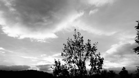 Beauty of dark wallpaper
