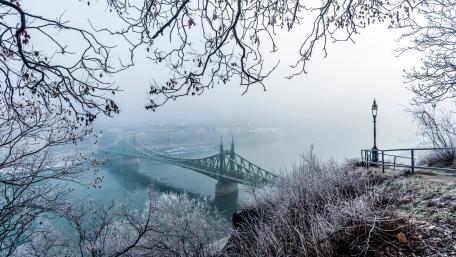 Liberty Bridge from Gellért Hill (Budapest) wallpaper