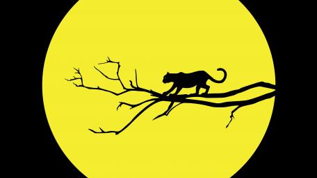 Big Cat Silhouette Under Yellow Moon wallpaper
