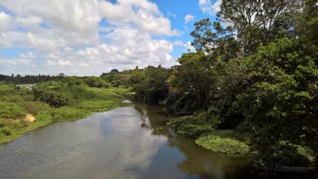 Serene River Journey Through Lush Greenery wallpaper