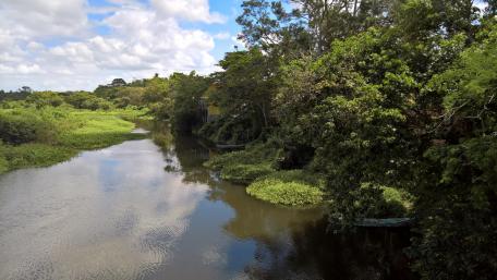 Serene Riverbank Under Blue Skies wallpaper
