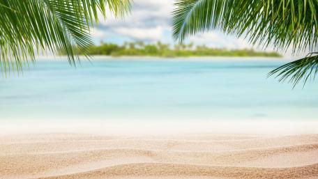 Tropical Paradise on the Shoreline wallpaper