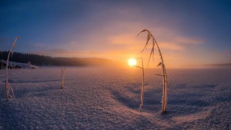 Serene Winter Sunrise Over Snowfield wallpaper