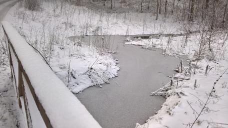 Winter Serenity in a Frozen Landscape wallpaper