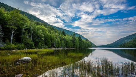 Tranquil Reflections in Nature's Embrace wallpaper
