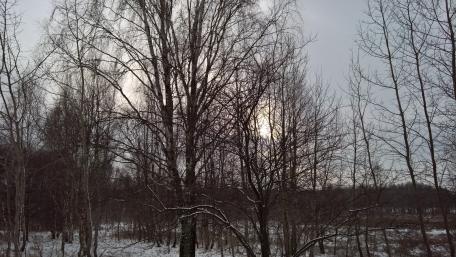 Serene Winter Landscape with Distant Sunlight wallpaper
