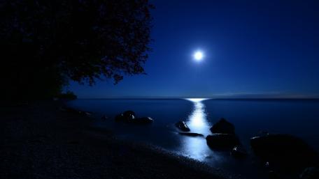 Moonlit Serenity Over Tranquil Waters wallpaper