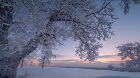 Hoary winter landscape wallpaper