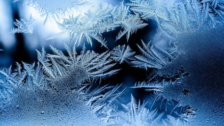 Frostwork wallpaper