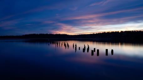 Beautiful lake in blue hour wallpaper