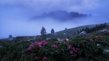 Gardena Pass wallpaper